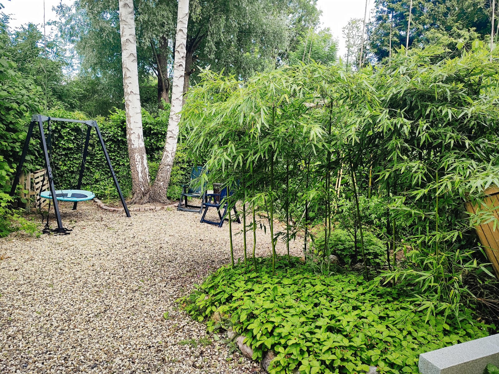 Gartenpflanzen
